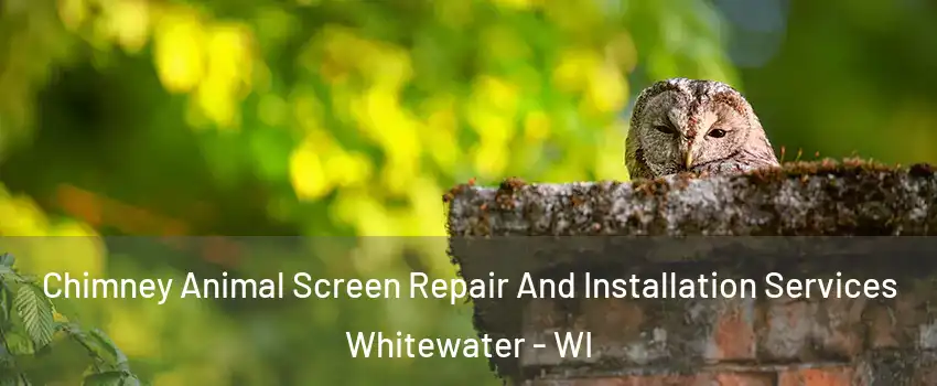  Chimney Animal Screen Repair And Installation Services Whitewater - WI