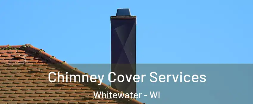  Chimney Cover Services Whitewater - WI