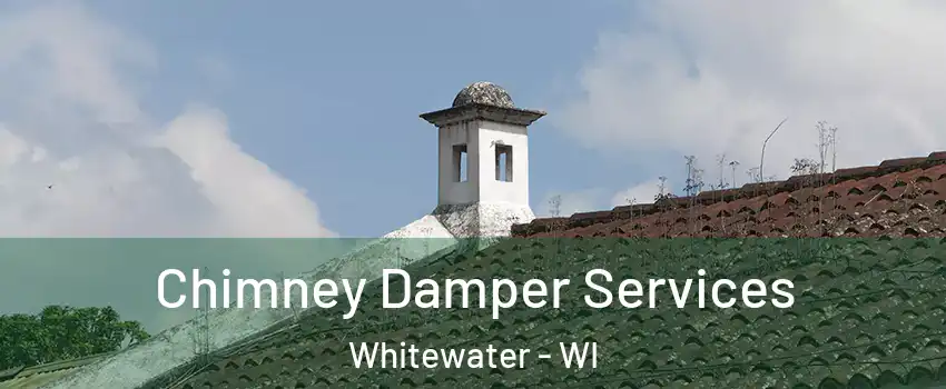  Chimney Damper Services Whitewater - WI