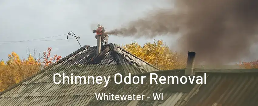  Chimney Odor Removal Whitewater - WI