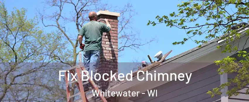  Fix Blocked Chimney Whitewater - WI