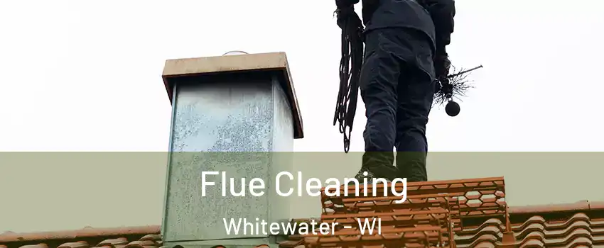  Flue Cleaning Whitewater - WI