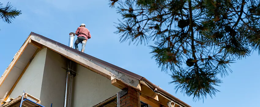 Birds Removal Contractors from Chimney in Whitewater, WI