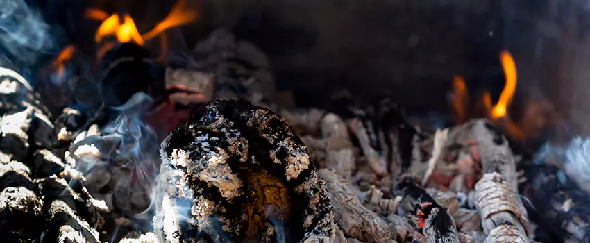 Creosote Removal Experts in Whitewater, WI