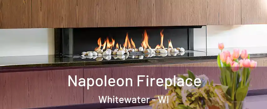  Napoleon Fireplace Whitewater - WI